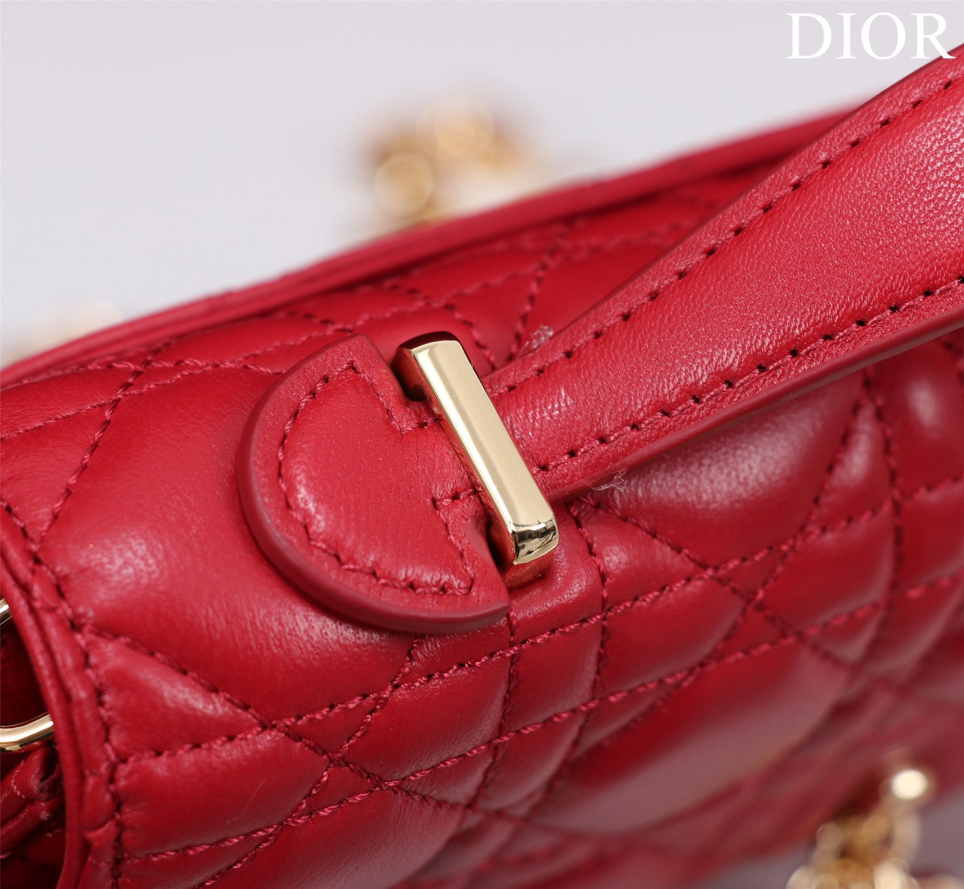 my cd mini 21 red lambskin