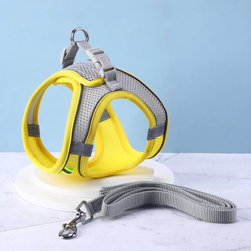 Ensemble Harnais + Laisse maille ultra respirante