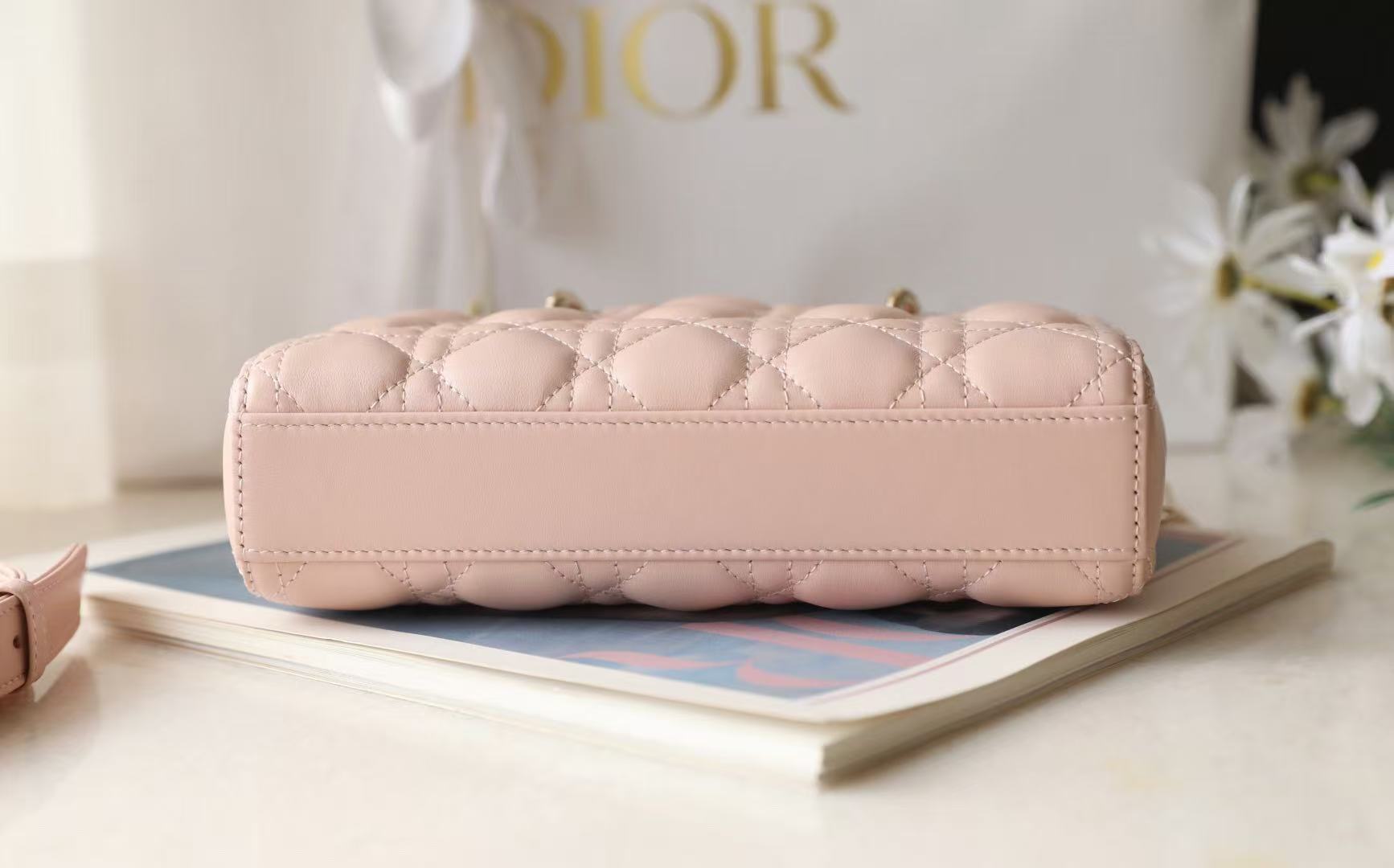 Dior 2025 Lady D-Joy 22cm Bag Powder Pink Lambskin