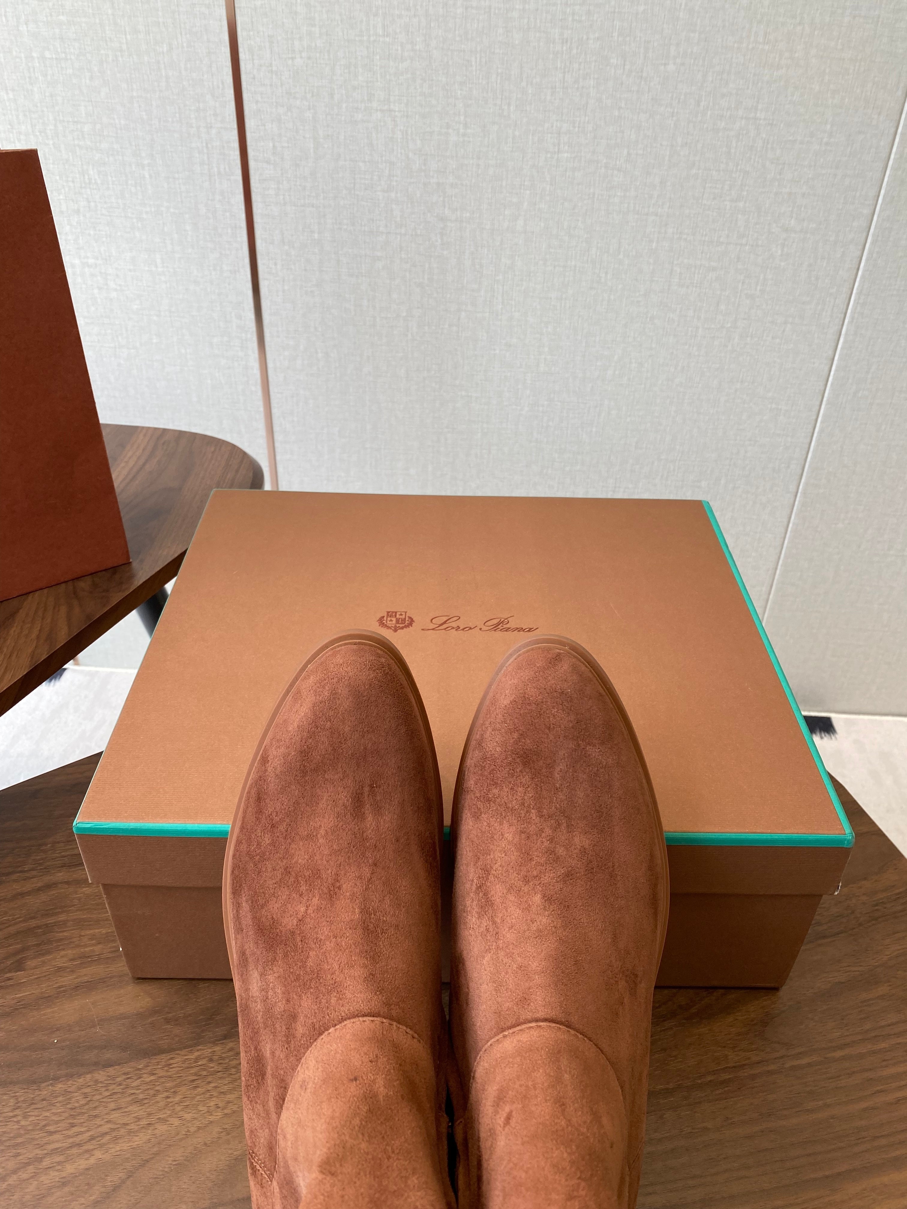 LP latest short boots brown suede 388104